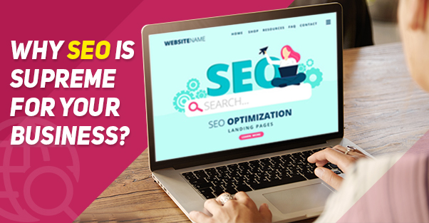 Seo Supreme For Business